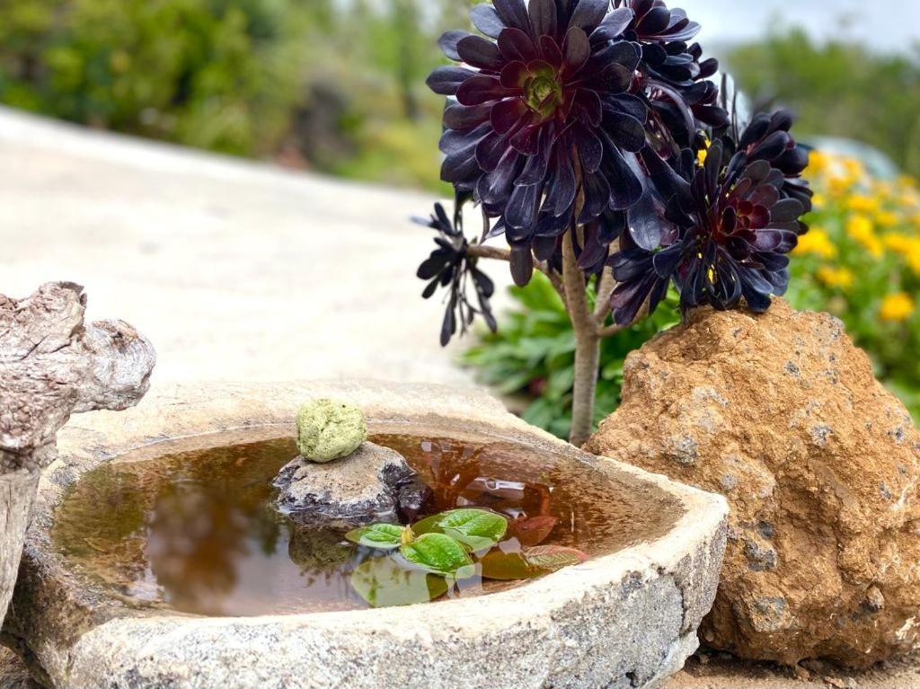 Climatized Pool Free Wifi Casa Rural Las Pareditas Tijarafe Εξωτερικό φωτογραφία
